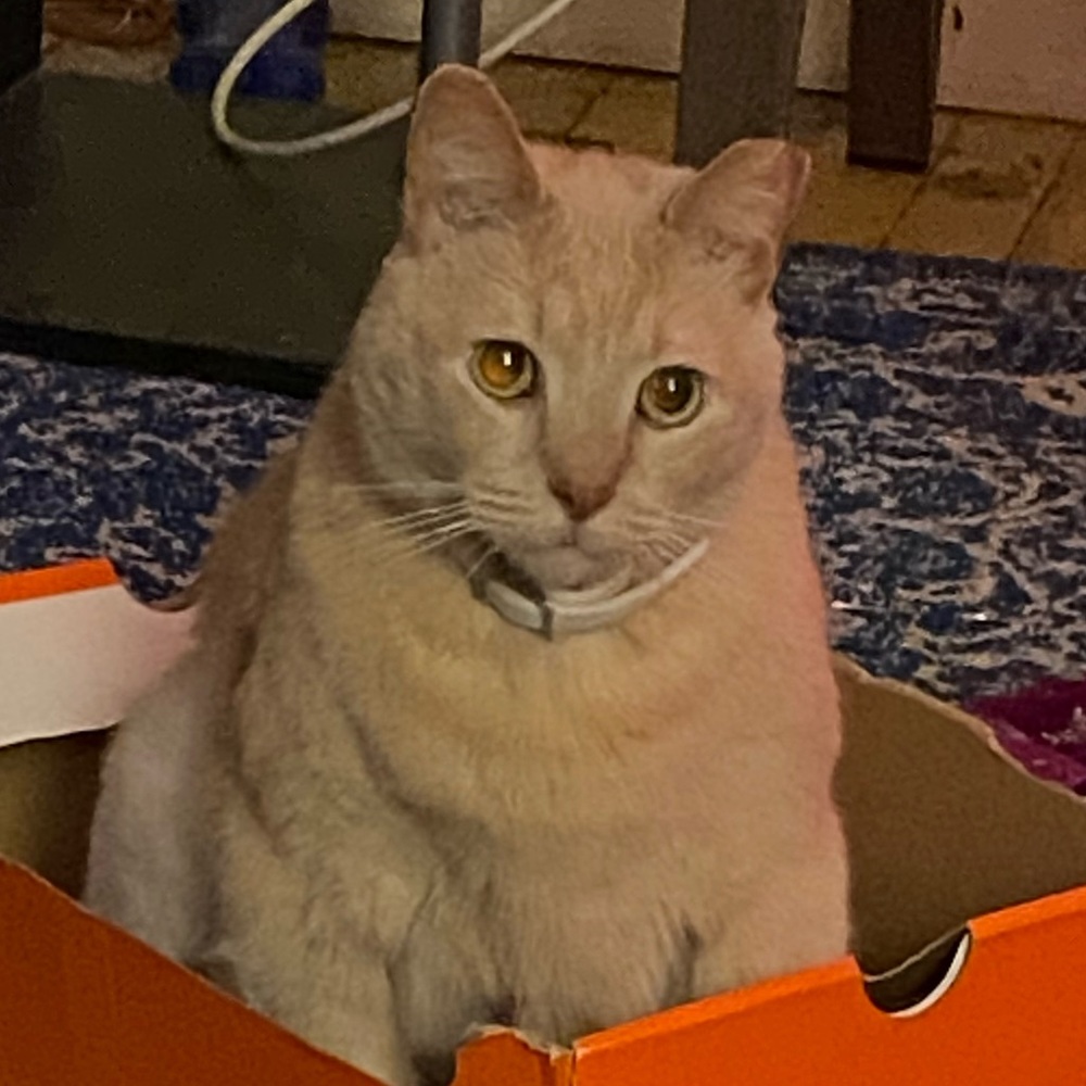 Meet your Posher, Dottie